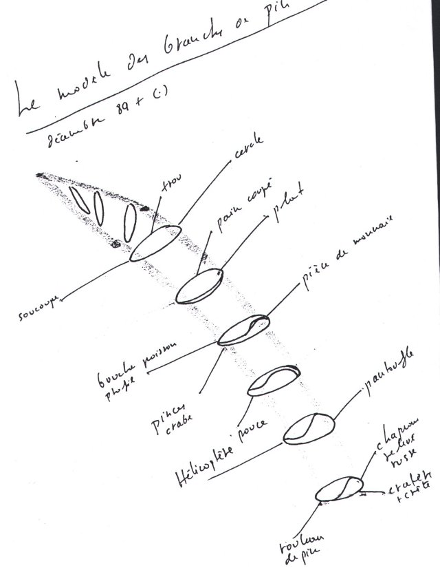 le modele des branches de pin