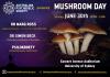 Mushroom Day Poster 2.jpg