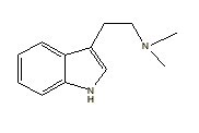 DMT