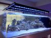 led-aquarium-lighting-.jpg