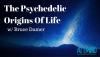 Image result for psychedelic origins of life