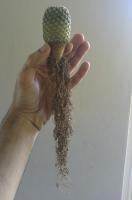 post-11985-0-79542800-1390823420_thumb.j