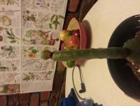 post-13277-0-03934900-1389434223_thumb.j