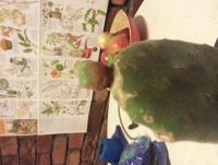 post-13277-0-50659700-1389434278_thumb.j