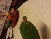 post-13277-0-56262800-1389434257_thumb.j