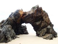 post-6175-0-06959900-1298725027_thumb.jp