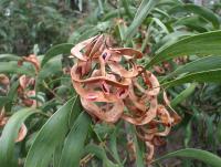 post-6175-0-18491400-1298724827_thumb.jp