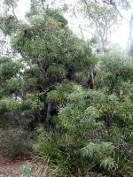 post-6175-0-38027300-1298724891_thumb.jp