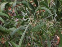 post-6175-0-57845300-1298724858_thumb.jp