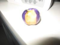 post-7386-0-87791800-1298184722_thumb.jp