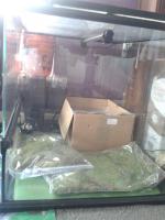 post-14443-0-28778800-1456752556_thumb.j