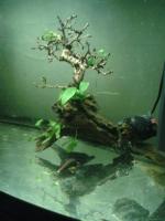 post-14443-0-84708900-1455499458_thumb.j