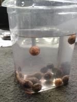 post-14443-0-03844400-1458661384_thumb.j