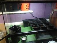 post-14443-0-04540700-1456875153_thumb.j