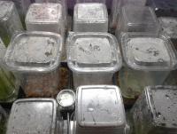 post-14443-0-04976000-1458686214_thumb.j