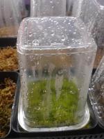 post-14443-0-07425500-1458649303_thumb.j