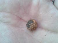 post-14443-0-09110800-1458648789_thumb.j