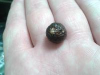 post-14443-0-10665900-1459113772_thumb.j