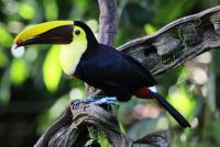 post-14443-0-11171200-1459211830_thumb.j