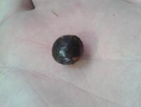 post-14443-0-21581600-1458648549_thumb.j