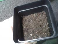 post-14443-0-28017400-1456875123_thumb.j