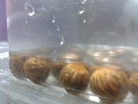 post-14443-0-28936100-1458686285_thumb.j