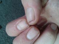 post-14443-0-29150400-1458661445_thumb.j