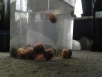 post-14443-0-29534000-1458661312_thumb.j