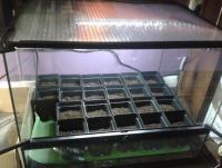 post-14443-0-30646800-1456875185_thumb.j