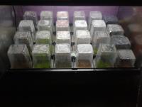 post-14443-0-34325200-1458693642_thumb.j