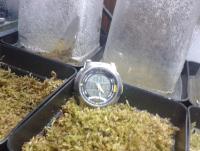 post-14443-0-34782700-1457063075_thumb.j