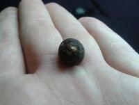 post-14443-0-44003200-1459113780_thumb.j