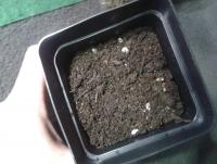 post-14443-0-44340700-1456875279_thumb.j