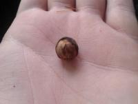 post-14443-0-48277300-1458648700_thumb.j