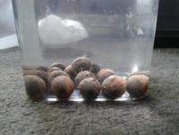 post-14443-0-48665900-1458660578_thumb.j