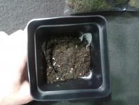 post-14443-0-49379700-1456874960_thumb.j