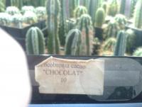 post-14443-0-54158400-1457690760_thumb.j