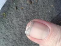 post-14443-0-55536400-1458661517_thumb.j