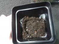 post-14443-0-60885000-1456875015_thumb.j