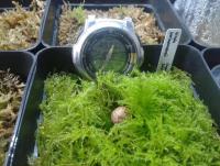 post-14443-0-62057700-1458648969_thumb.j