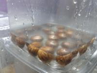 post-14443-0-62192200-1458686246_thumb.j