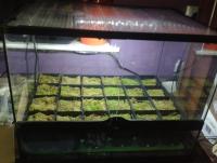 post-14443-0-65235000-1456875571_thumb.j