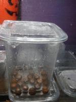 post-14443-0-69333400-1458686320_thumb.j