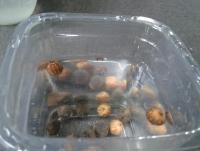 post-14443-0-74131000-1458660749_thumb.j