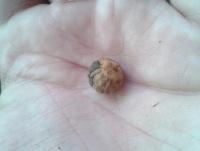 post-14443-0-76118800-1458648818_thumb.j