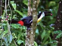 post-14443-0-78688600-1459211804_thumb.j