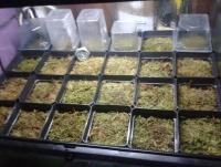 post-14443-0-81221900-1457063112_thumb.j