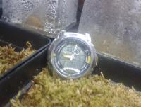 post-14443-0-85471500-1457122041_thumb.j