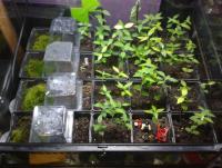 post-14443-0-93307300-1458693509_thumb.j