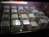 post-14443-0-93318800-1458679012_thumb.j